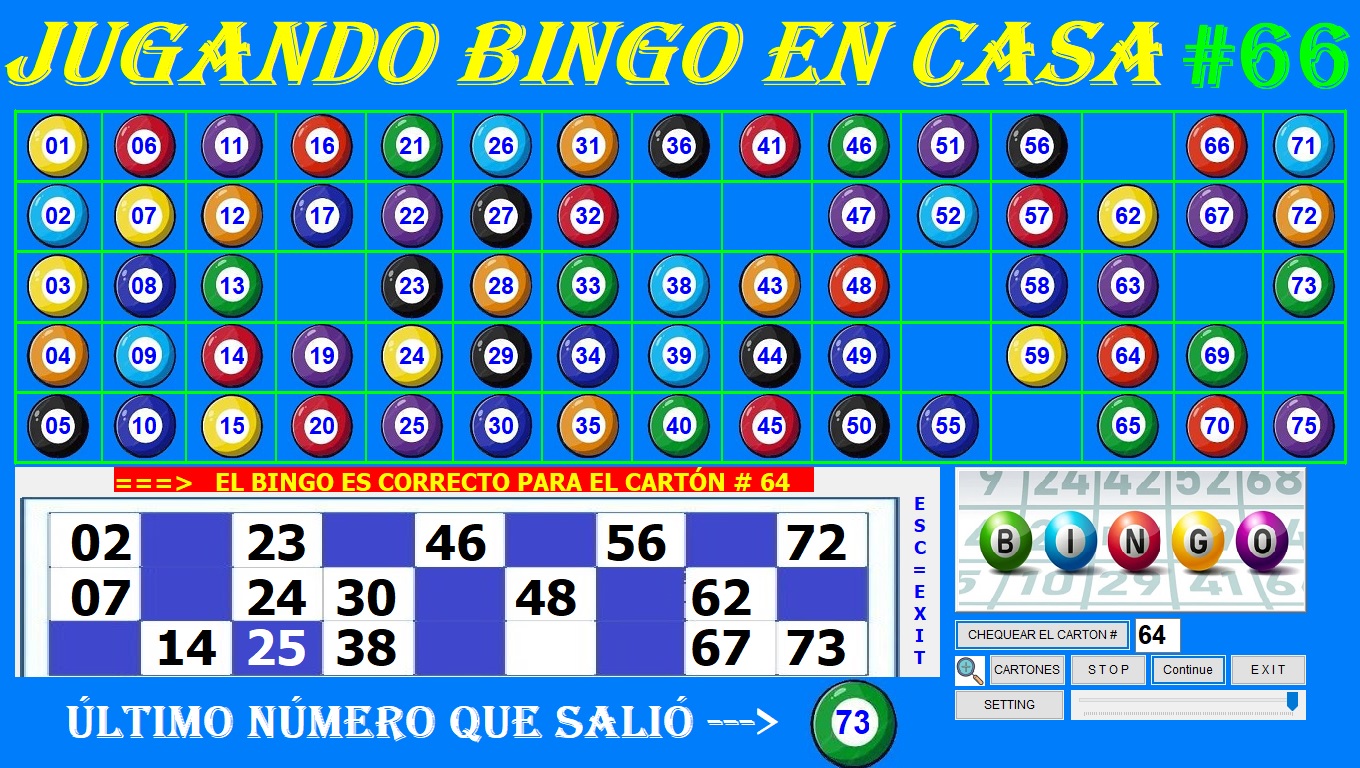 BINGO COMPLETO CARTON 64.jpg