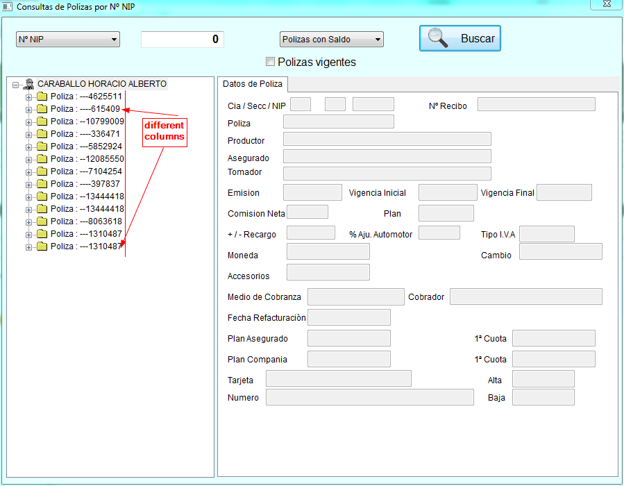 Consultas de Polizas por Nº NIP_2012-02-03_19-09-46.png