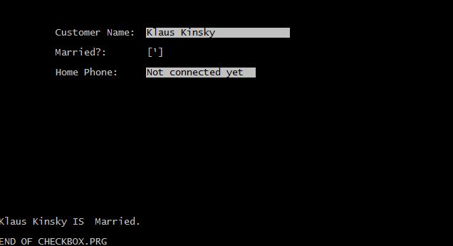 Checkbox in text mode