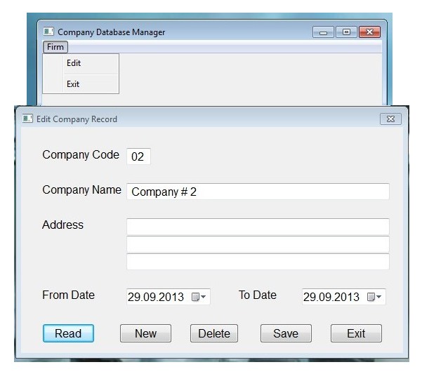 Screen shoot of Company Database Manager