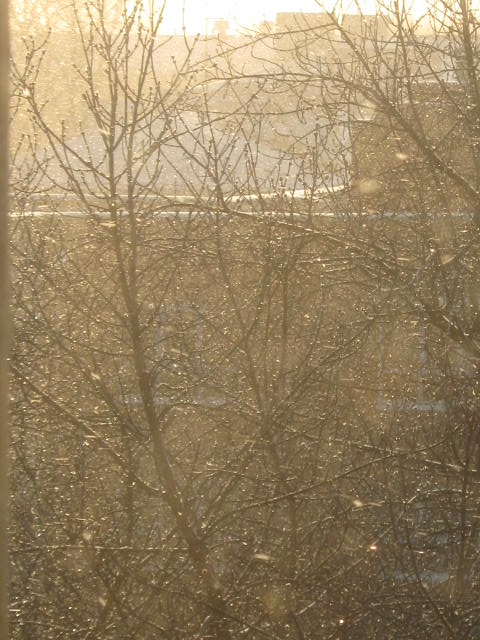 January-2010. Rising sun. Falling snow.