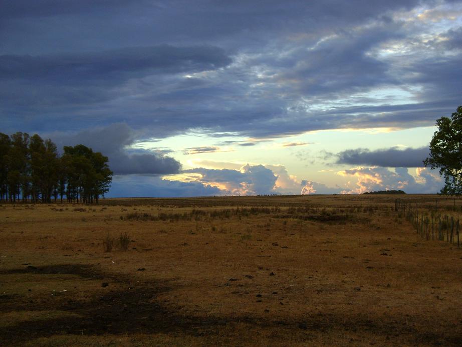 La horrible cara de la sequía ....