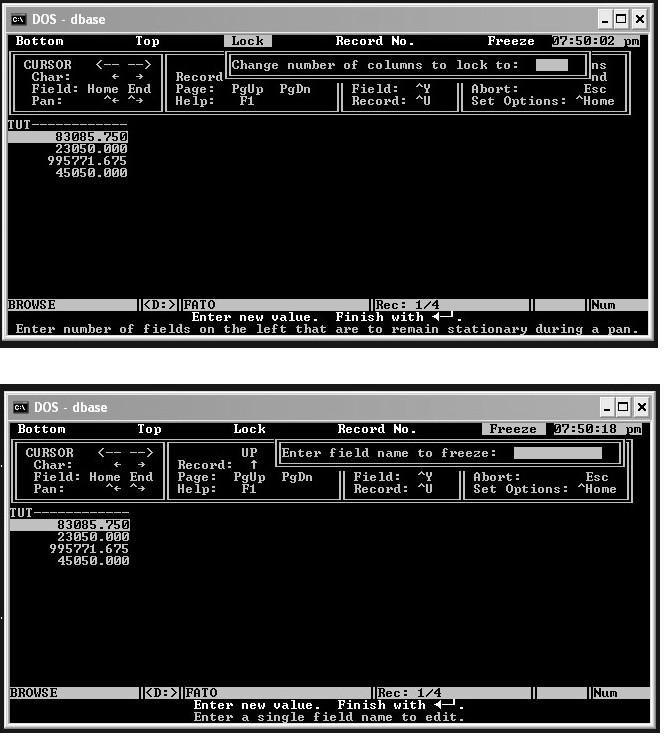 Lock and Freeze in Browse of dBase